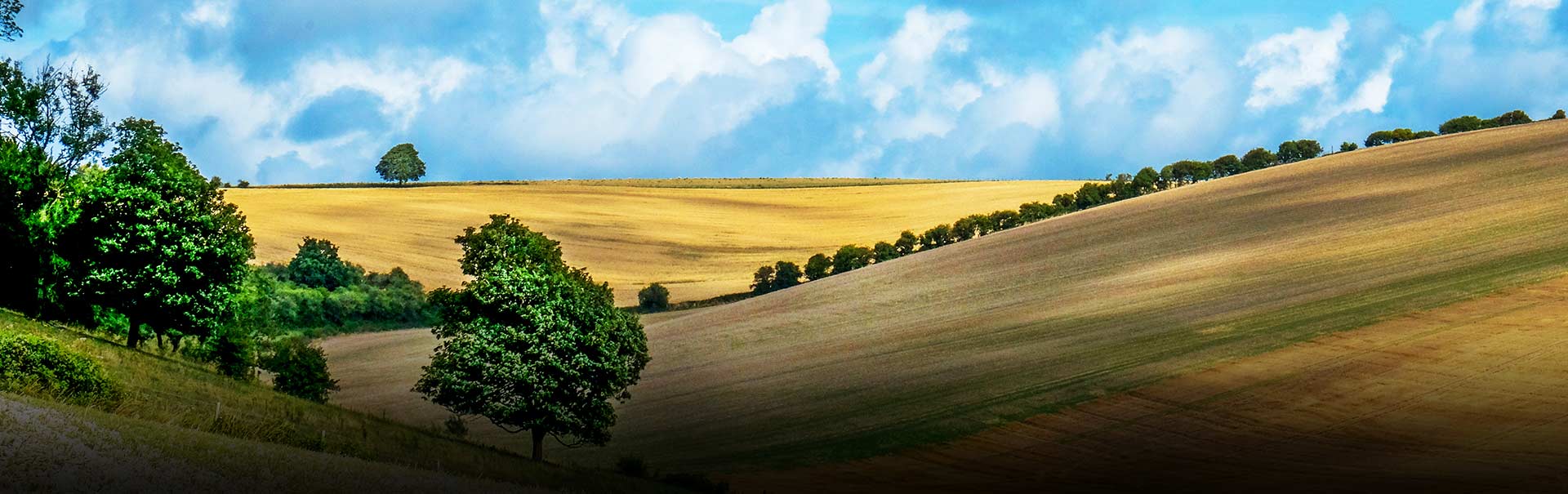 Estate & Letting Agents In Haywards Heath